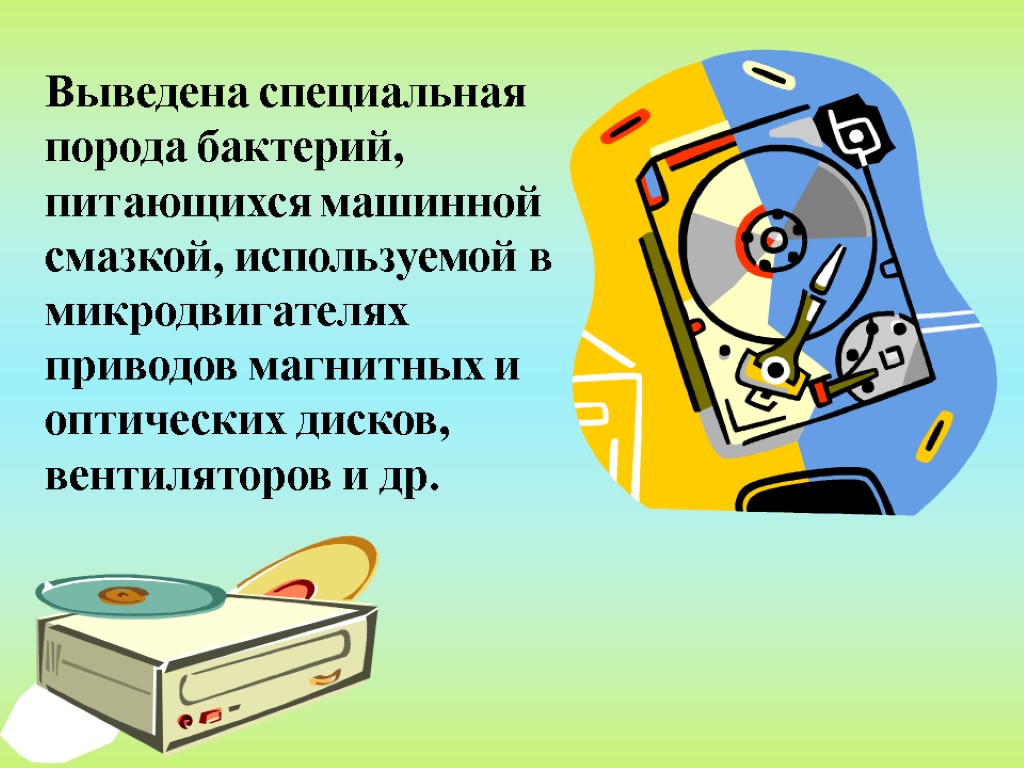 Выведена специальная порода бактерий, питающихся машинной смазкой, используемой в микродвигателях приводов магнитных и оптических